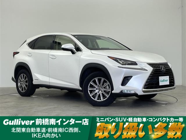 2019 Lexus NX