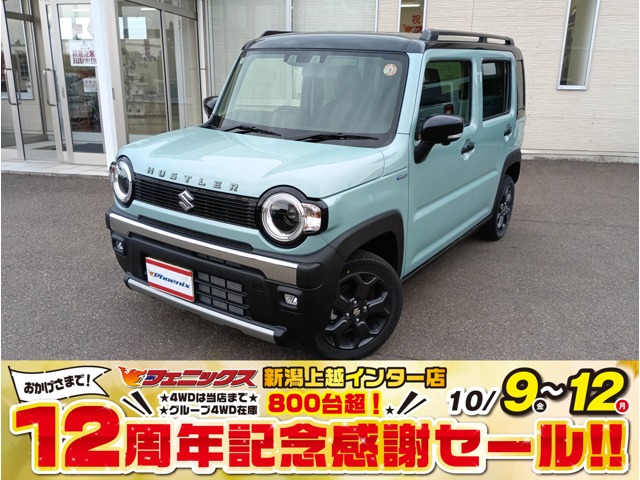 Suzuki Hustler 2