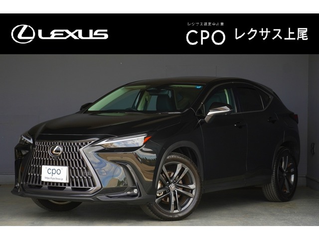 Lexus NX 1