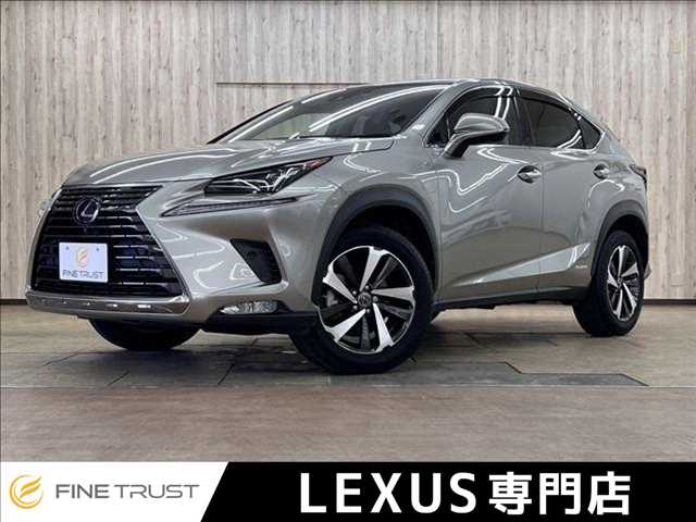 2019 Lexus NX