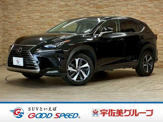 Lexus NX 1
