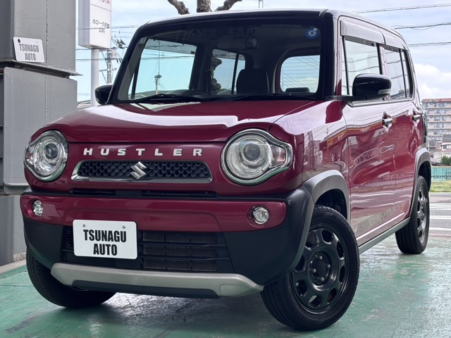 Suzuki Hustler 1