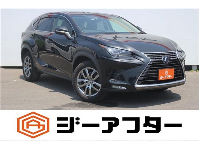Lexus NX 1