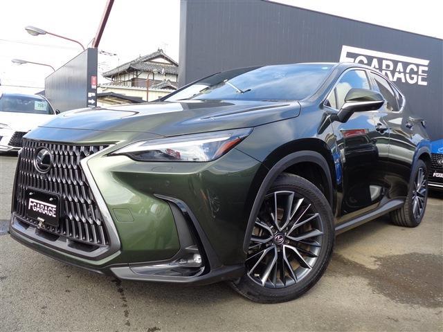 Lexus NX 1
