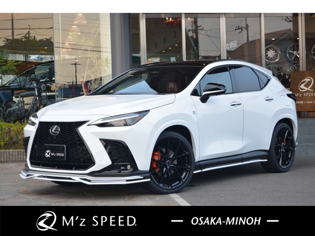 2025 Lexus NX