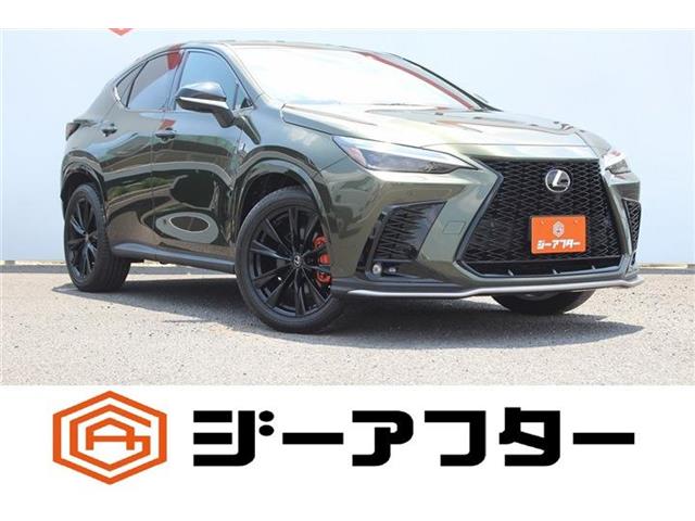 Lexus NX 1
