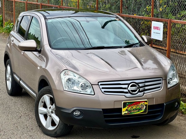 2010 Nissan Dualis