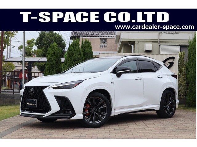 Lexus NX 1