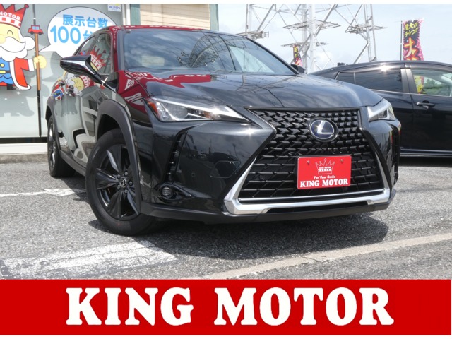 Lexus UX 1