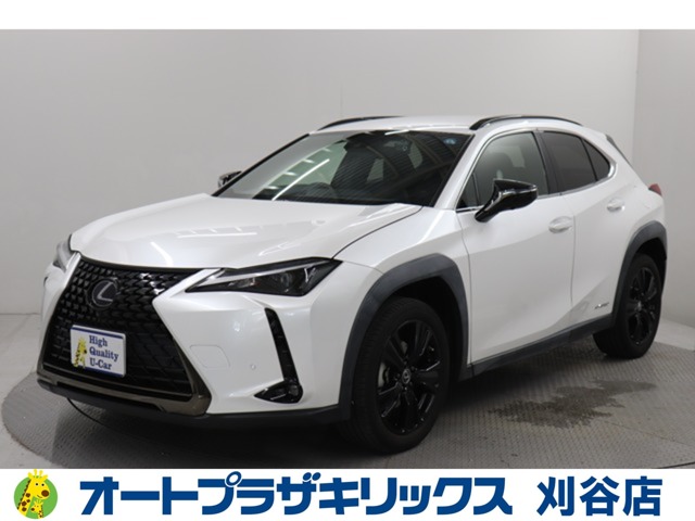 2021 Lexus UX