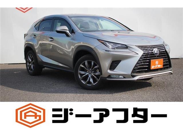 Lexus NX 1