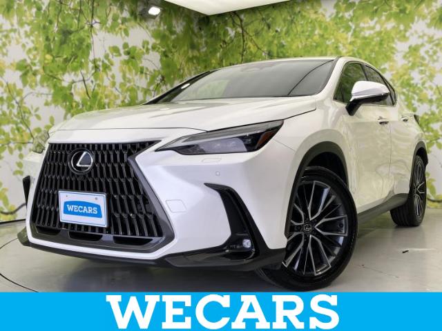 Lexus NX 1
