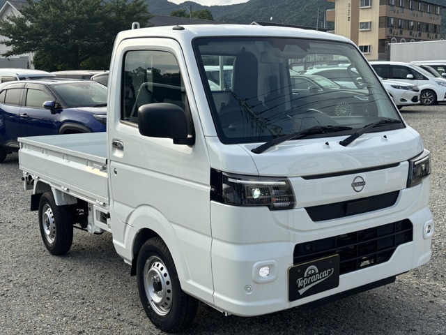 Nissan Clipper Truck 1