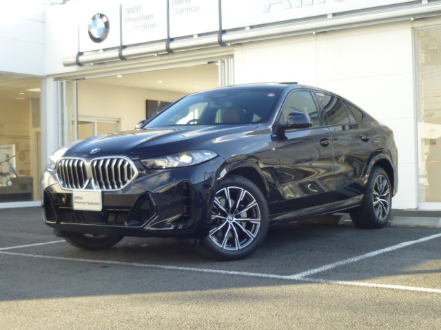 BMW X6 1