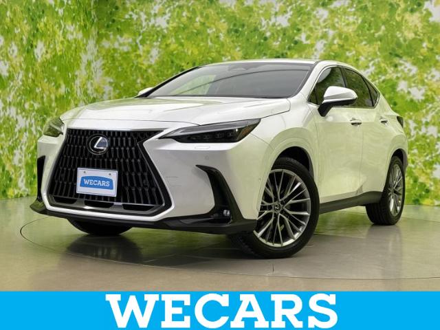 2024 Lexus NX