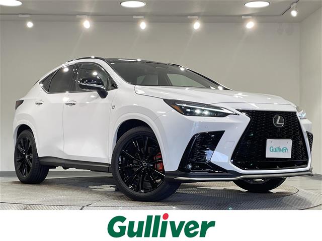 2023 Lexus NX