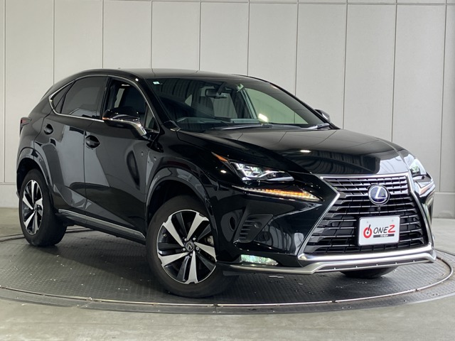 2021 Lexus NX