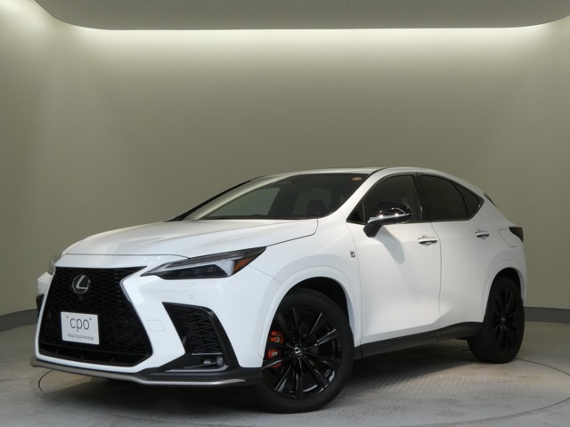 Lexus NX 1