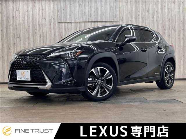 2019 Lexus UX