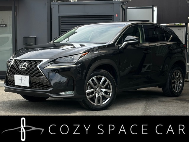Lexus NX 1
