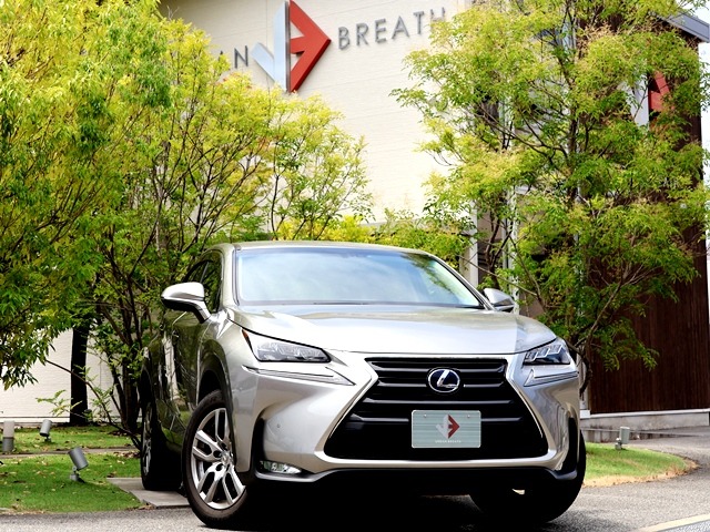 Lexus NX 1