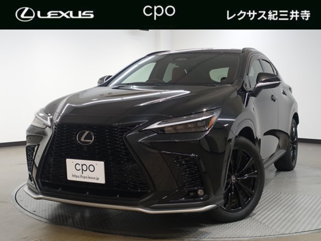 Lexus NX 1
