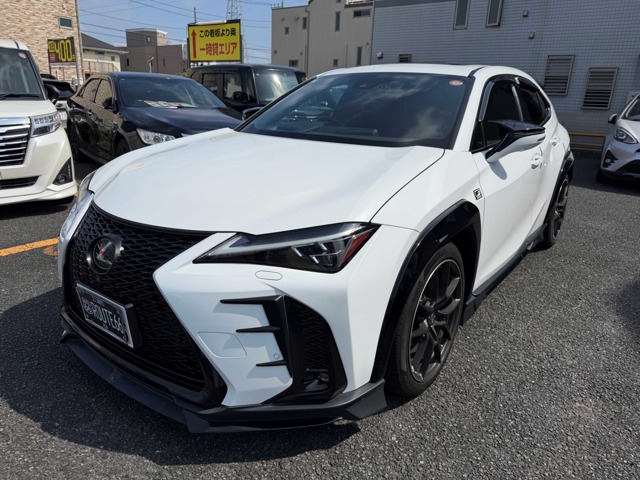 2020 Lexus UX