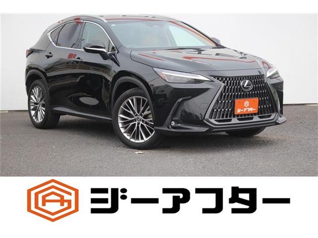 2021 Lexus NX