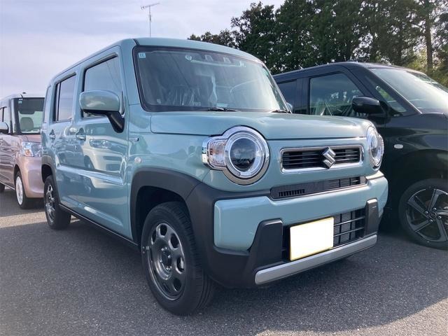 Suzuki Hustler 1