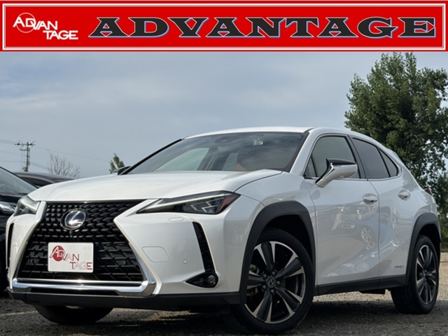 2021 Lexus UX