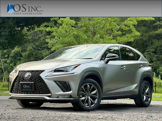 2018 Lexus NX