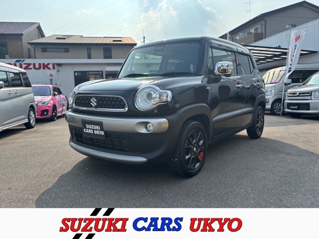 Suzuki XBEE 1