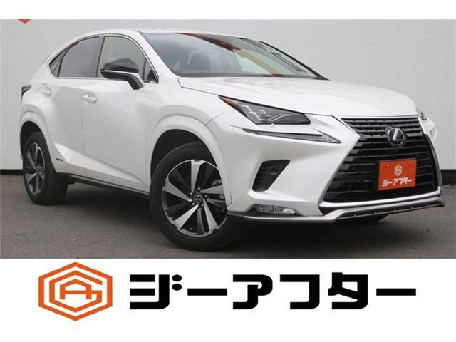2021 Lexus NX