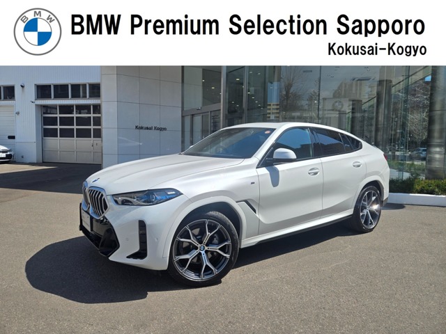 2024 BMW X6