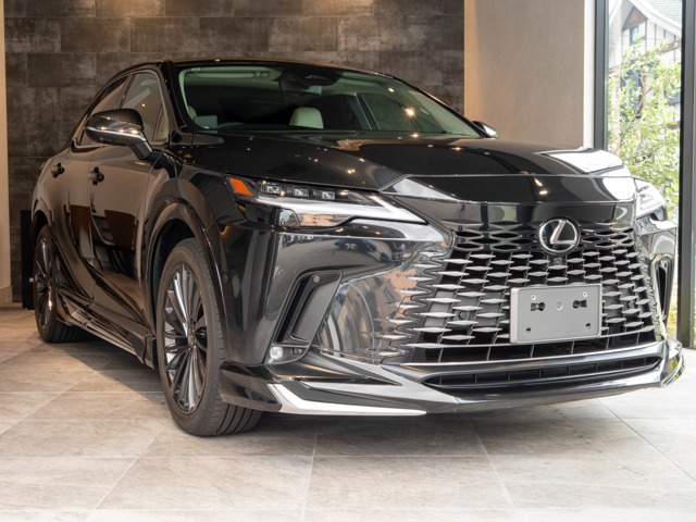 2023 Lexus RX