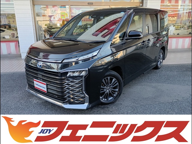 Toyota Voxy 1