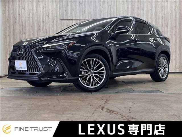 Lexus NX 1
