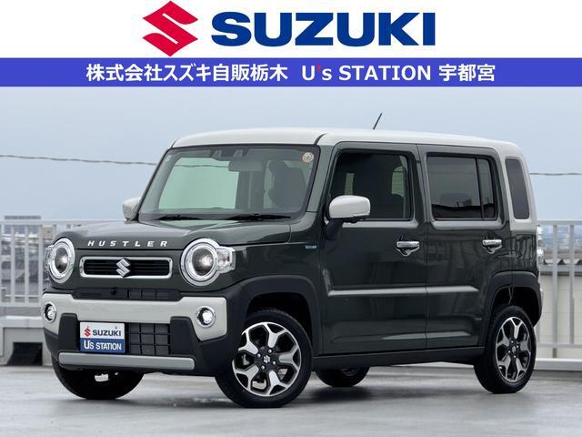 Suzuki Hustler 1