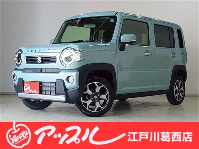 Suzuki Hustler 1