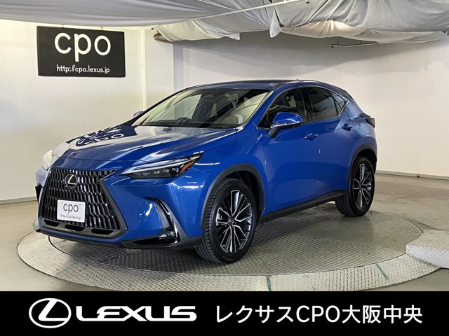 Lexus NX 1