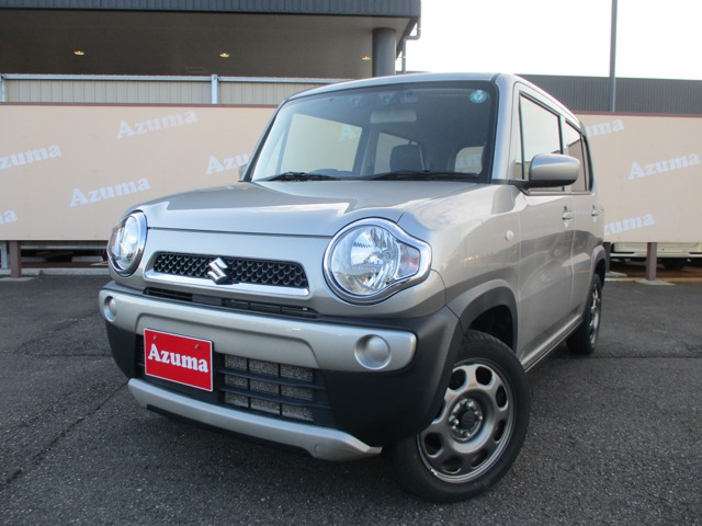 Suzuki Hustler 1