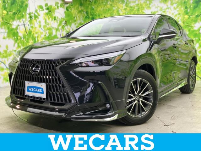 2024 Lexus NX