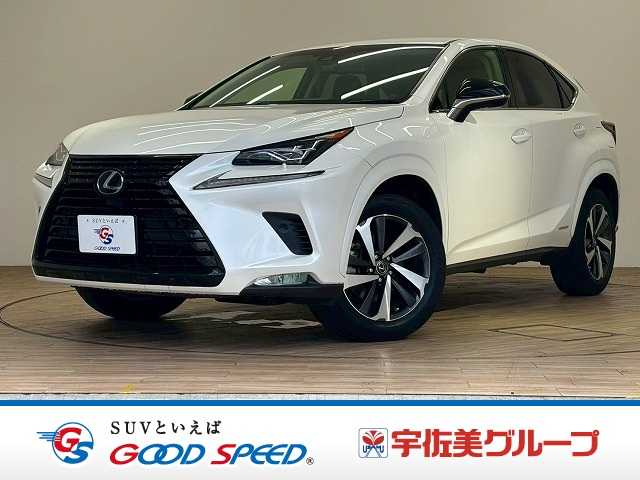 2018 Lexus NX
