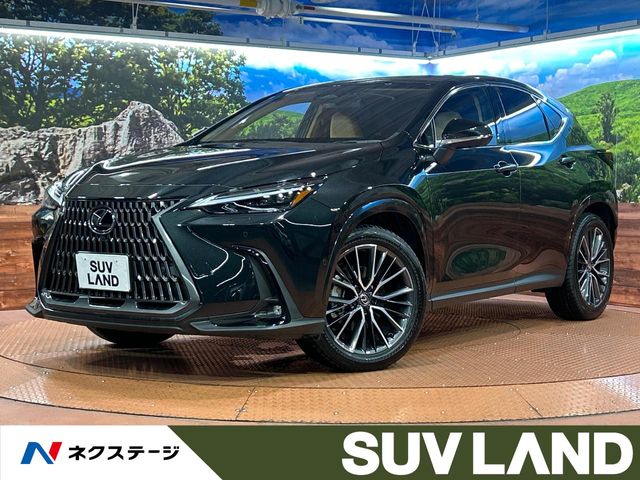 2025 Lexus NX