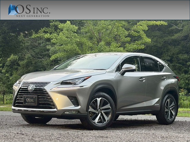 2019 Lexus NX
