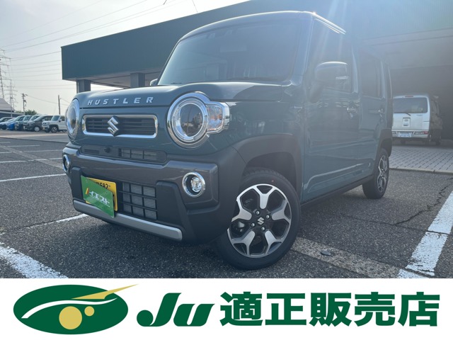 Suzuki Hustler 1