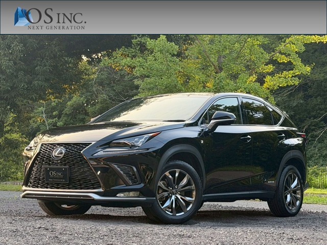 2018 Lexus NX