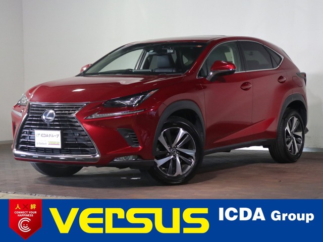 Lexus NX 1