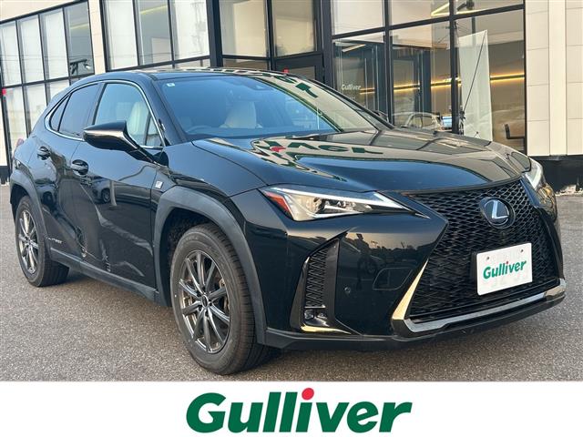 2020 Lexus UX