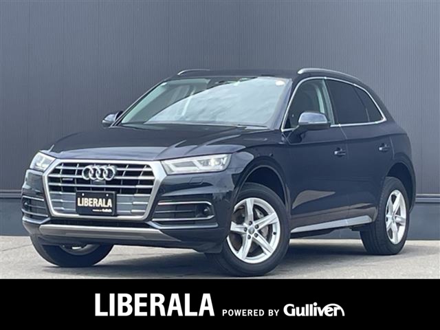 Audi Q5 1